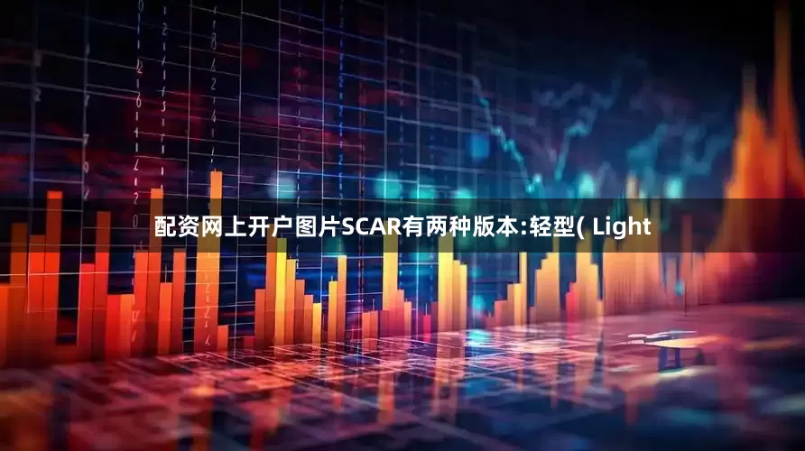 配资网上开户图片SCAR有两种版本:轻型( Light